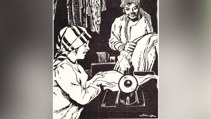 رسوم:هبة عنايت