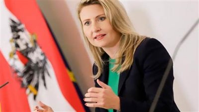 الحكومة النمساوية تخصص 24.6 مليون يورو للحماية من العنف