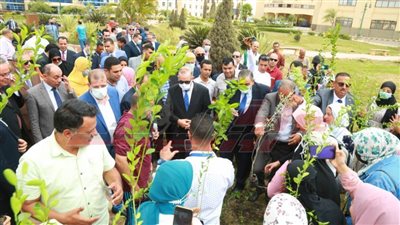حملة جديدة لزراعة الأشجار المثمرة بجامعة كفر الشيخ