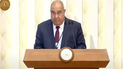 رئيس المحكمة الدستورية: دعم الرئيس السيسي للقضاء والعمل على استقلاليته هو أمر مرئي للعيان