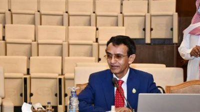 مسؤول بالبرلمان العربي يدعو لوقفة إزاء المعايير الغربية المزدوجة بشأن حقوق الإنسان