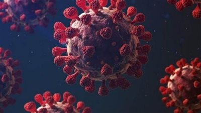 لمواجهة الموجة الرابعة لفيروس كورونا.. مطرانية المنيا للأقباط الأرثوذكس تصدر 10 قرارات جديدة