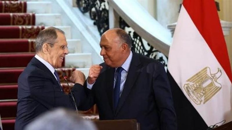 وزير الخارجية ونظيره