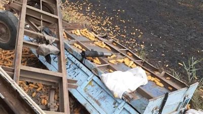 اصطدام قطار بجرار زراعي بالدقهلية