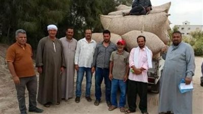 مركز لتجميع القطن بمقر المرشد الزراعي بالقنطرة شرق 