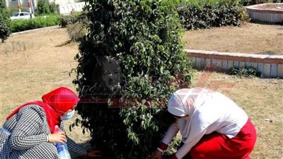 شباب كفر الشيخ تطلق مبادرة 