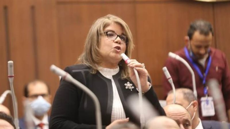 النائبة فيبي فوزي