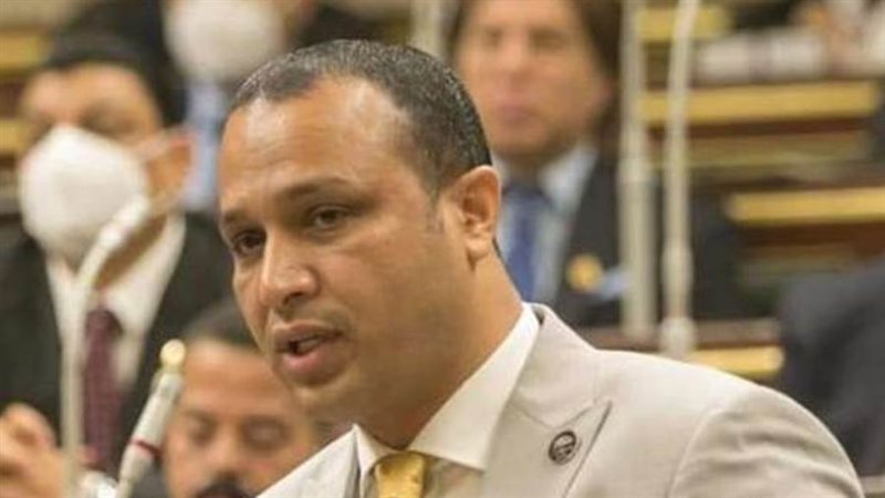 النائب محمد طلبة