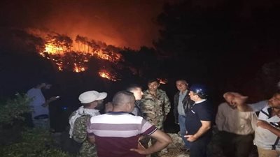 سوريا.. فرق من الإطفاء والجيش تحاول السيطرة على حريق كبير في ريف اللاذقية