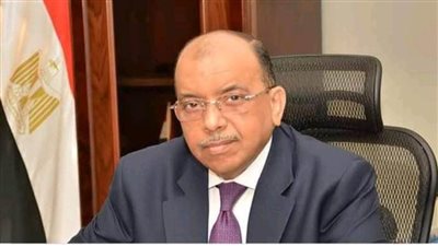 وزير التنمية المحلية: حملة مكبرة بالتنسيق مع محافظة القاهرة على سوق الجمعة