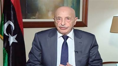 رئيس مجلس النواب الليبي : نثمن الدور الجزائري في إيجاد تسوية للأزمة الليبية