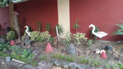 تشجير المساحات الفضاء بالطبري الثانوية للبنين