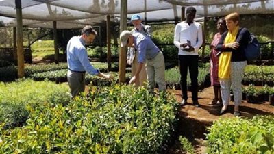 تقرير نيجيري: 25 مليون مواطن معرضون لخطر فقدان وظائفهم