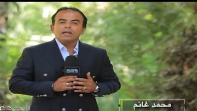  مطالب بتدخل وزارة الزراعة لمواجهة العفن الهبابي في محصول المانجو (فيديو)