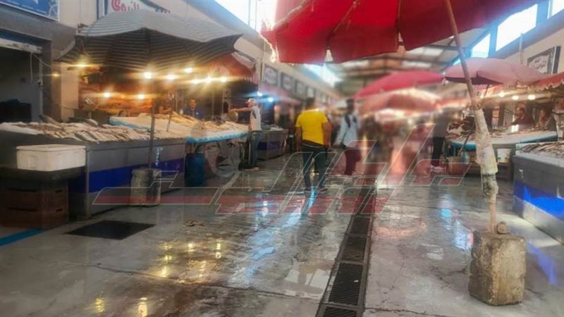 سوق اسماك بورسعيد
