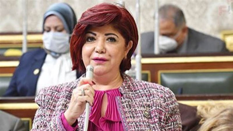 النائبة نورا علي