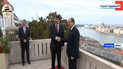 الرئيس السيسي يؤكد تطلع مصر لمزيد من التعاون مع دول (فيشجراد)