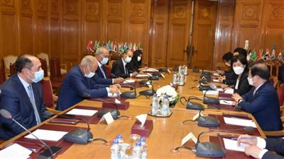 أبوالغيط يستقبل رئيس برلمان كوريا الجنوبية