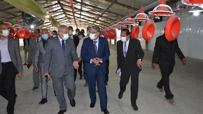 محافظ المنيا ورئيس هيئة تنمية الصعيد يتفقدان مشروع عنابر تربية الدواجن