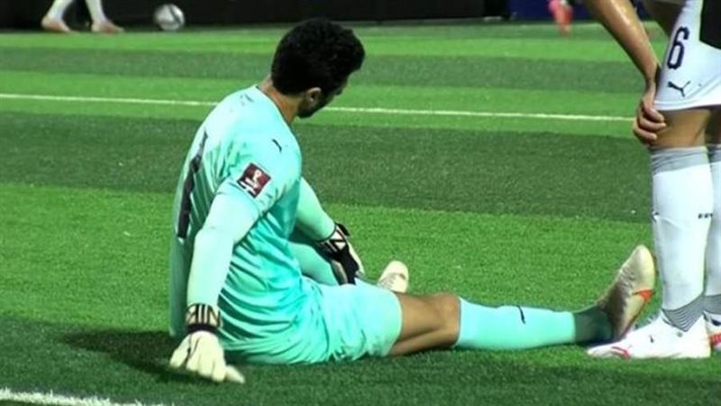 محمد الشناوي