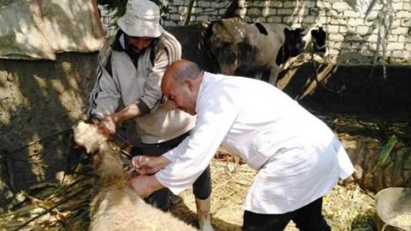 الحملة القومية لتحصين