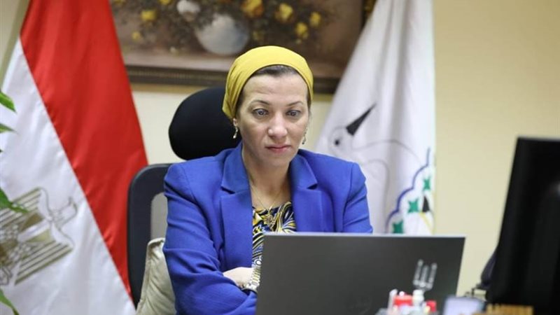 الدكتورة ياسمين فؤاد