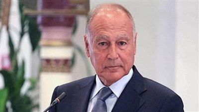 أبو الغيط: استمرار التدخلات الأجنبية على الأراضي السورية يعقد الأزمة