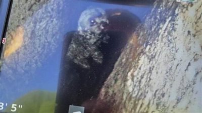 عاجل| تفاصيل إنقاذ كلبة سقطت في شق على عمق ٤٠ قدما (صور)