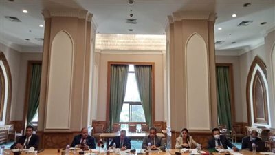 انعقاد جلسة المشاورات الثنائية بين مصر وسويسرا في مجال الهجرة