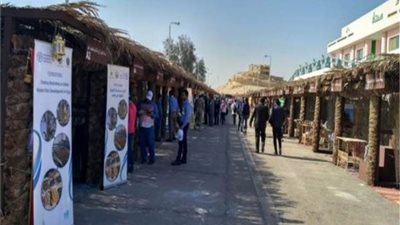 50 % تخفيضًا على تذاكر طيران رحلة الأحد بمناسبة ملتقى التمور بالوادي الجديد