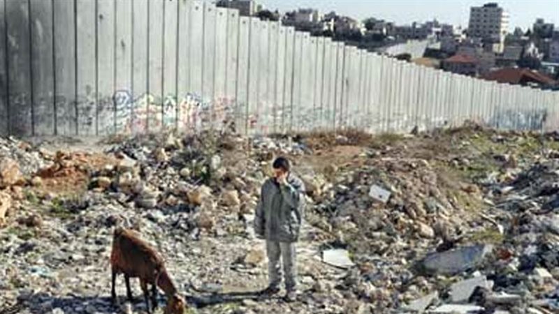 تدهور البيئة