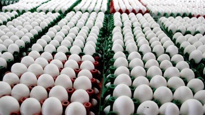 اطباق البيض