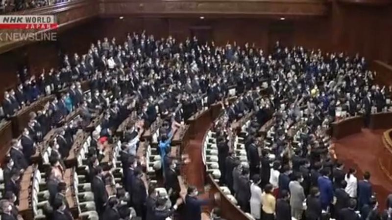 الأحزاب السياسية