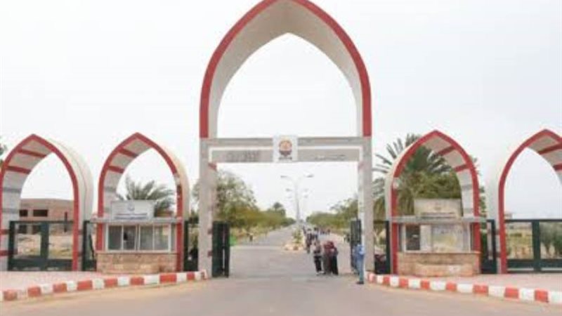 جامعة اسوان