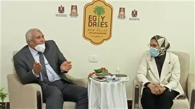 محافظ الوادي الجديد: الانتهاء من طريق 