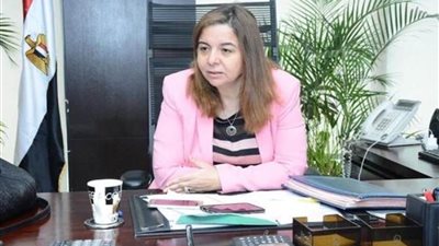 مى عبد الحميد: مليون ونصف المليون مواطن استفادوا من التمويل العقارى