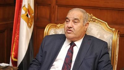 رئيس المحكمة الدستورية العليا: التاريخ يسجل للرئيس السيسي منحه المرأة حقها الدستوري كاملًا