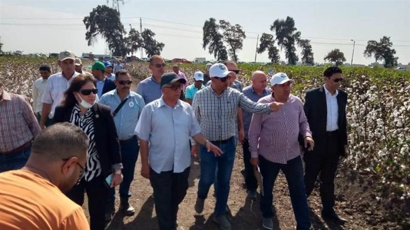 يوم حقلي للذرة والقطن