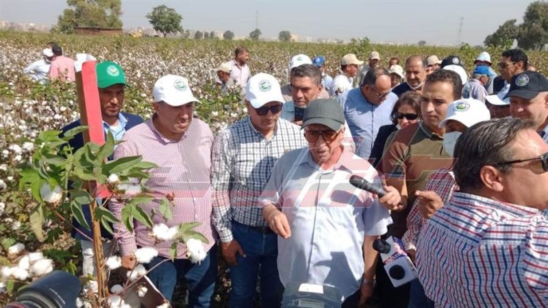 مركز البحوث