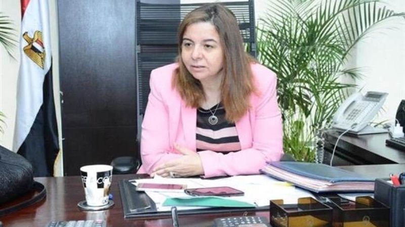 المهندسة مي عبدالحميد