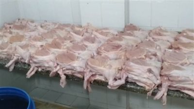 ضبط أكثر من نصف طن دواجن ولحوم مجهولة المصدر في مطعم شهير بالإسكندرية