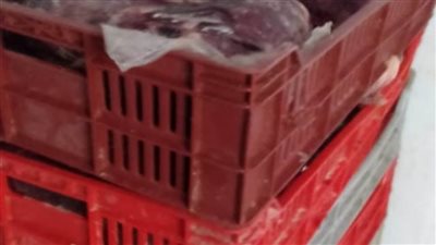 تموين الإسكندرية تكثف حملاتها الرقابية على المصانع والمطاعم