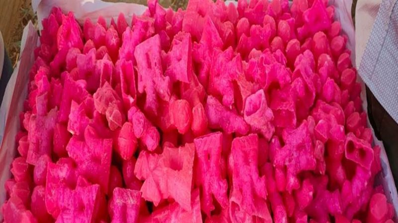 جانب من المضبوطات