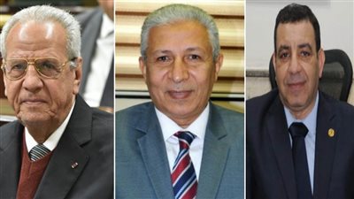 نصار وعبدالحكيم ومصيلحي أعضاء في المجالس النوعية بأكاديمية البحث العلمي