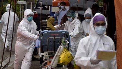 كوريا الجنوبية : السلالة 