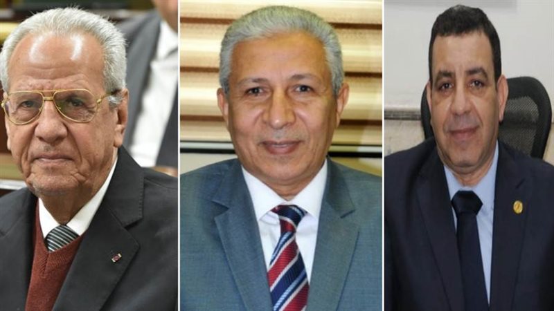 نصار وعبدالحكيم ومصيلحي