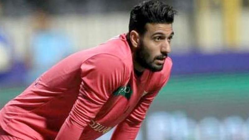 أحمد الشناوي