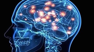 عاجل| هذا الطعام يمكنه تعزيز صحة الدماغ بعد ساعتين من تناوله