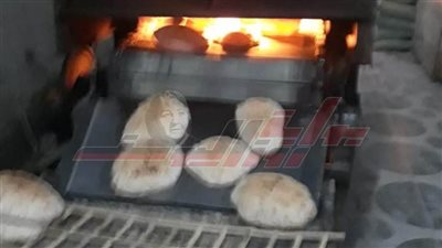 تحرير 20 محضرًا للمخالفين من التجار بكفر الشيخ