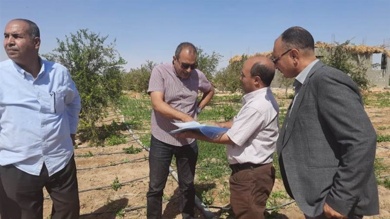 السكرتير المساعد